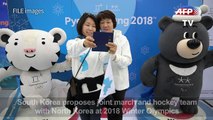S. Korea proposes joint Olympic hockey team with North