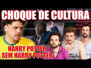 CHOQUE DE CULTURA #1: Harry Potter Sem Harry Potter