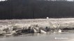 Massive chunks of ice take over Pennsylvania waterways