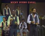 Cuco Valoy y la Tribu,canta Henry Garcia - El Consejo- Salsa - Micky Suero Videos
