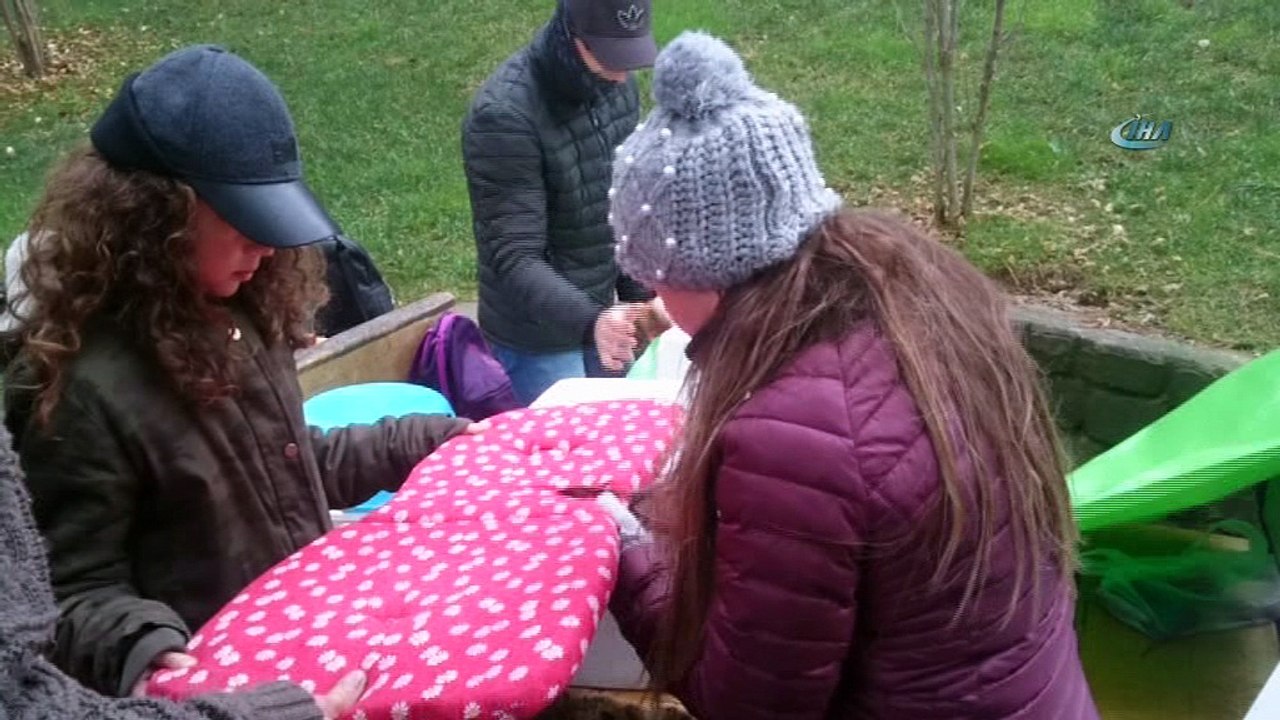 Sokak hayvanları için kulübe yapma yarışması