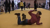 Cats and dogs take centre stage at Paris Animal Show