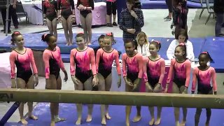 Whitney Bjerken | 6th Level 8 Gymnastics Meet | All Around Champion