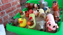 Learn Names And Sounds Of Farm Animals/Old Macdonald Nursery Rhyme/Animal Toys Sliding Down Water