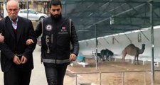 Veterinerin Devesine El Koyan Tefeciler, Ölünün Üzerine de Şirket Açmış