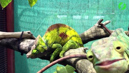 On a tous un pote un peu bizarre comme lui...