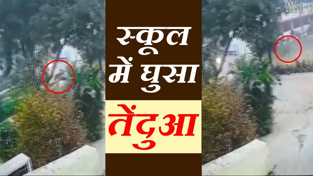 Leopard enters school premises  लखनऊ के एक स्कू...