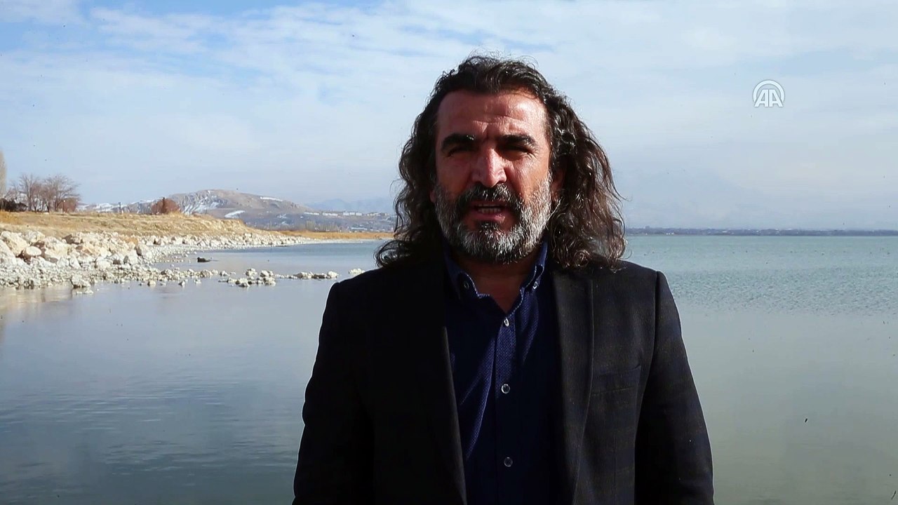 Van Gölü kuğu ve flamingoları ağırlıyor