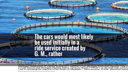 G.M. Says Its Driverless Car Could Be in Fleets by Next Year