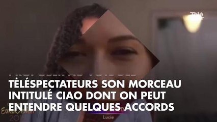 Destination Eurovision : découvrez les 18 candidats visant l'Eurovision 2018