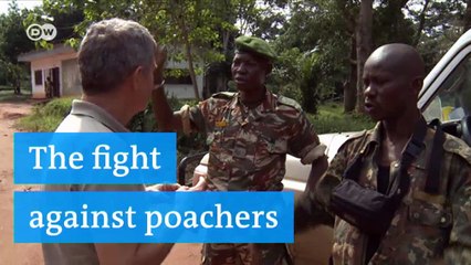 The fight against poachers | Environment
