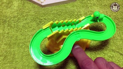 Birds on the sky vedios