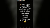 ملاك الكويتية تتعدى على كاظم الساهر وتصفه بالطبال