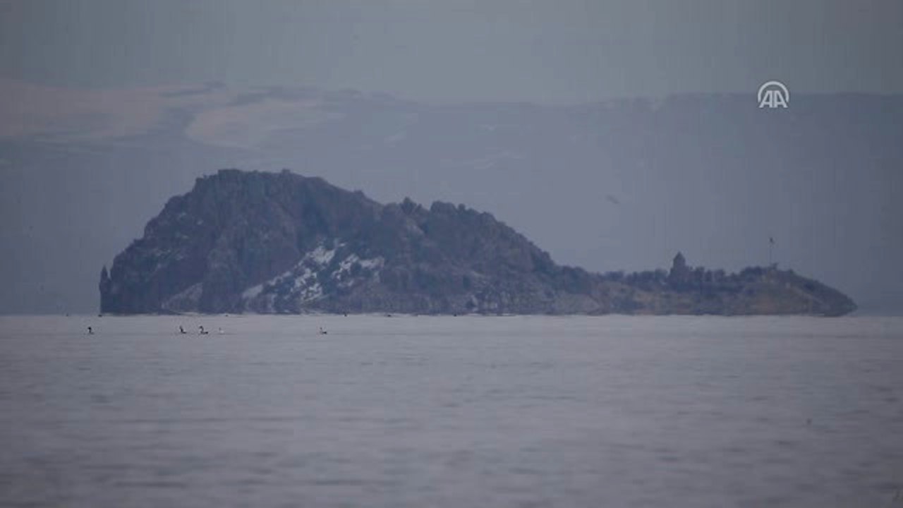 Van Gölü Kuğu ve Flamingoları Ağırlıyor