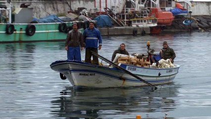 Balığa niyet, çöpe kısmet