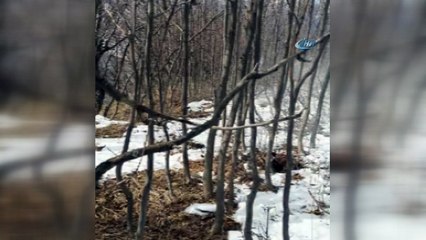 Bitlis’te EYP böyle imha edildi