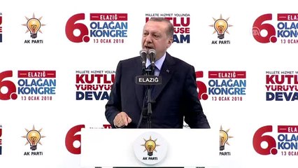 Cumhurbaşkanı Erdoğan: "Yılanla Yatağa Giren Neticelerine Katlanır"