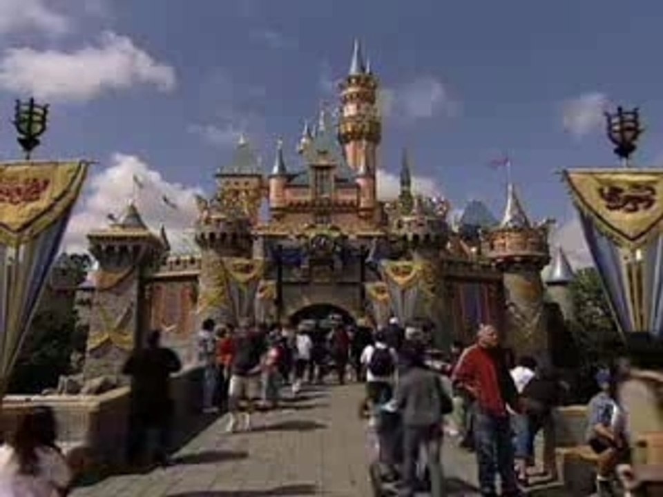 Year of a millon dreams - Disneyland parks