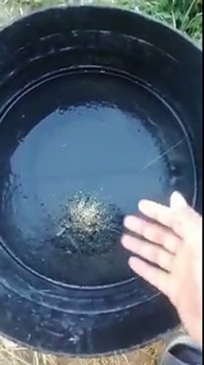 مياة المواسير تتجمد ببيشة (3)