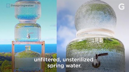 Raw Water is For Rich Idiots