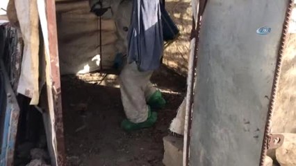 Kızıltepe'de Kuş Gribi Vakası... Hayvanlar İtlaf Ediliyor