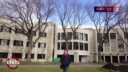 Canada : les rennes du père Noël étudiés par une biologiste française dans la forêt boréale