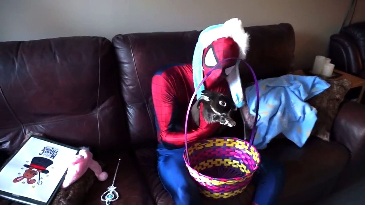 Spiderman & Spidergirl with the Easter Bunny! M...