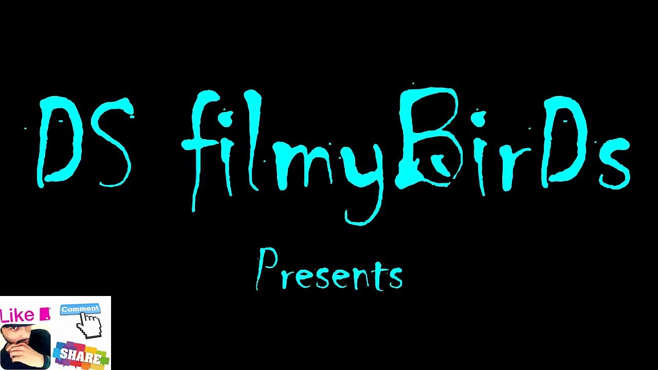Am I Crazzy - DS Filmybirds - Dps DevA's