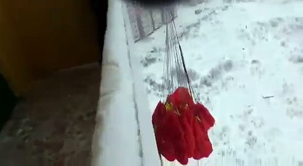 Русин преживеа опасен скок од балконот на зградата