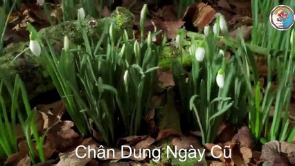 thì em áo trắng tinh khôi