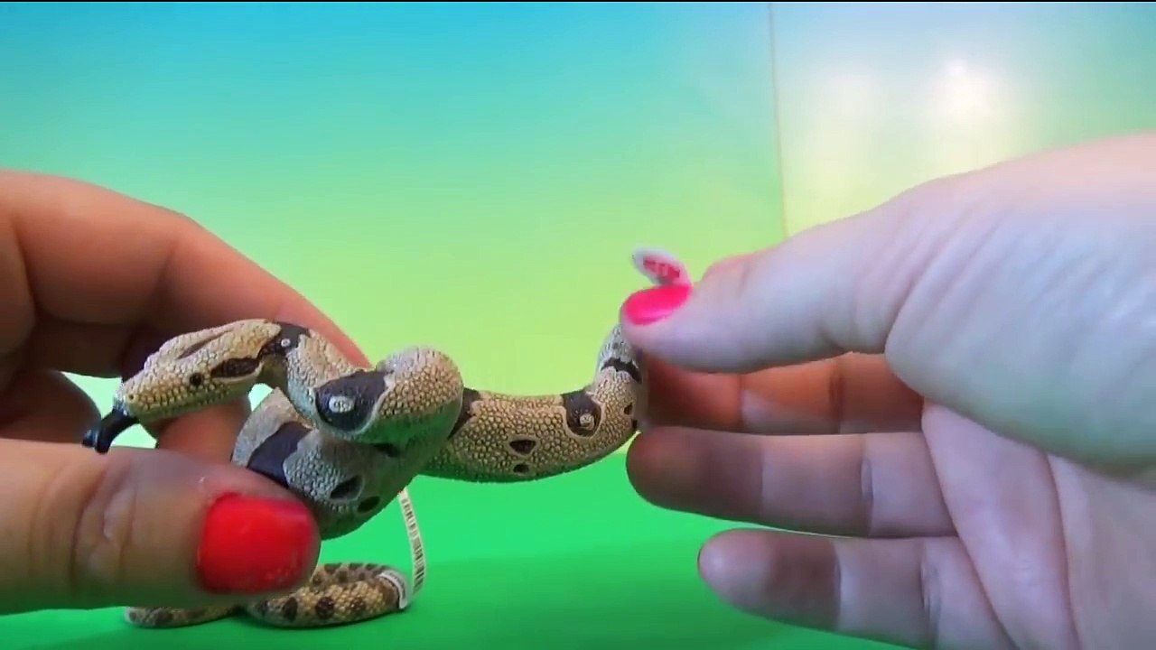 Schleich Animals Figures Hyena Mandrill Wolf Pinguin Zoo Toys