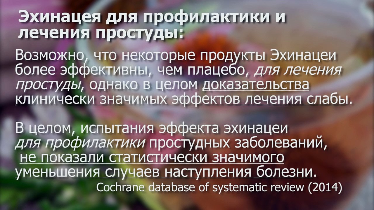 Топ народых средств от гриппа и простуды - работают ли они? [Скепсис-обзор]
