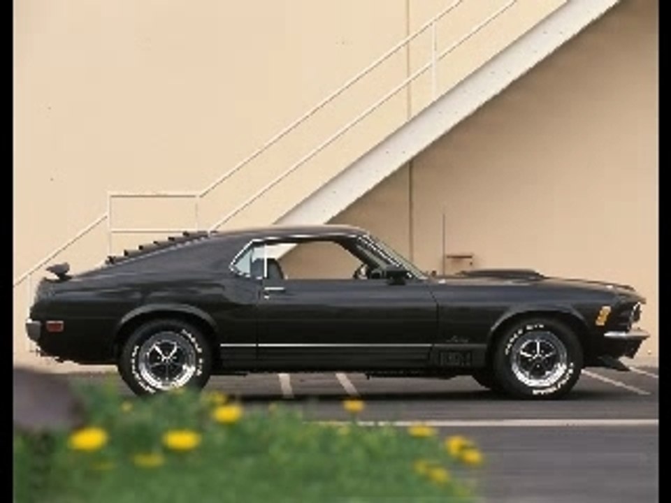 Tuerie funk bombe +++