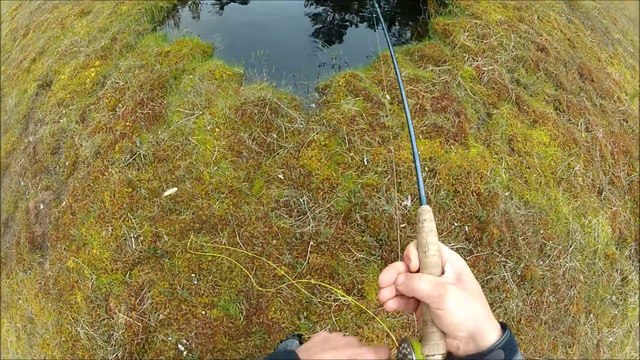 Elle peche une belle truite dans un tout petit etang