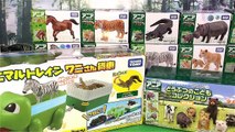MY NEW WILD ANIMALS TOY COLLECTION for kids TOMY TAKARA - Learn African Wild Animals