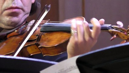 Schubert Piano Quintet D667 The Trout Ф. Шуберт квинтет "Форель"