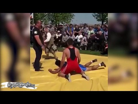 Evladını Zorda Görünce Yardıma Koşan Koca Yürekli Ana