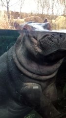 Fiona’s never shied away from the cameras.