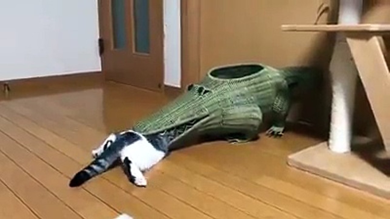 !!! cái thứ đồ chơi gì mà lạ lùng !! =)))