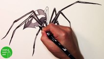 WILL IT BITE?! - Black Widow Challenge 3D Spider Drawing Trick Art