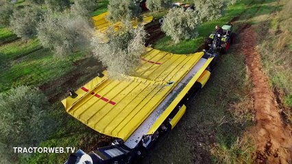 Muhteşem Zeytin Toplama Sistemi