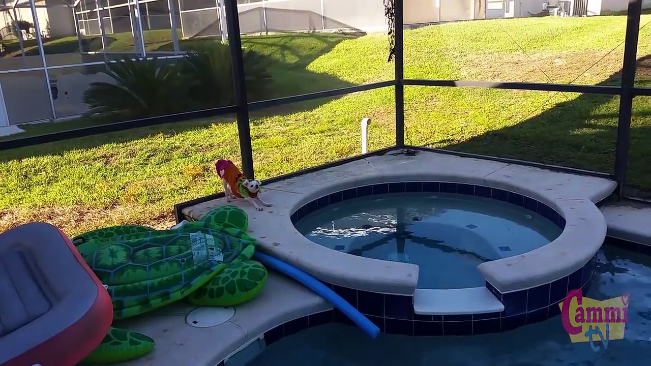 Fin Fun Mermaid and the FREEZING Water - Pool Fun