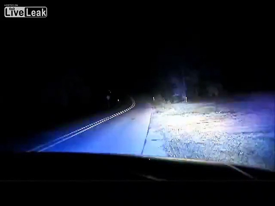 Police car crash
