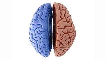 [Tamil] What is Alien Hand Syndrome? | Peechankai