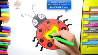 Color Rainbow Heart LadyBug Coloring Pages and Learn Colors for Kids