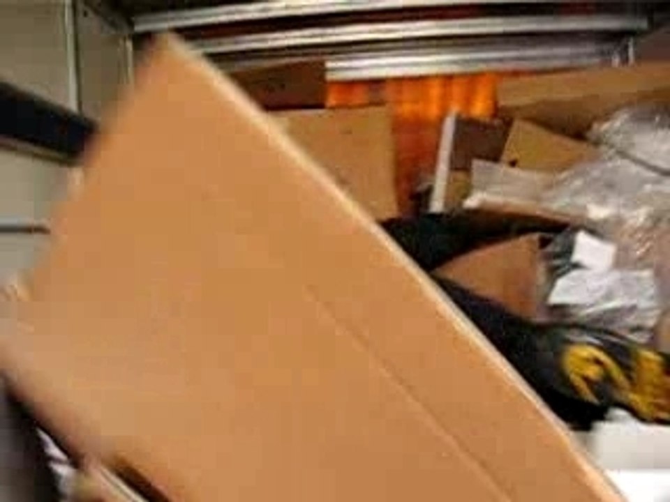 Gino dans les cartons