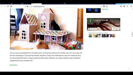 9 Most Interesting Site To Look When Bored