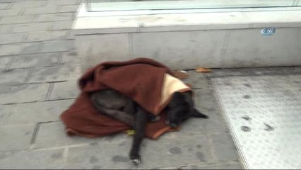 Taksim Metrosunda Duygulandıran Görüntü