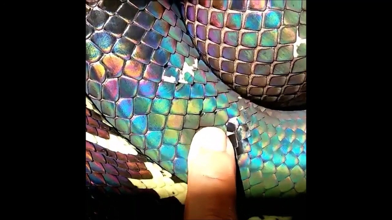 La peau de ce serpent est incroyable