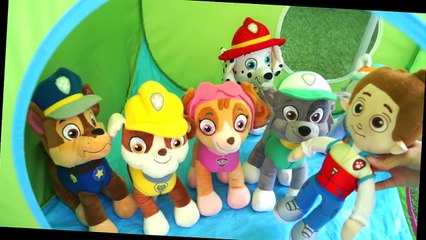 LA PATRULLA CANINA encuentra a un genio lampara magica temporada 3 - patrulla canina online